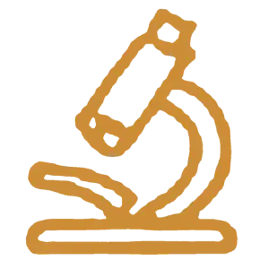 06-kontinuirano-istrazivanje-2048