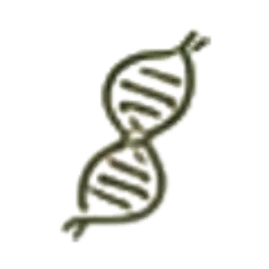 Bioaktivne supstance visoke efikasnosti
